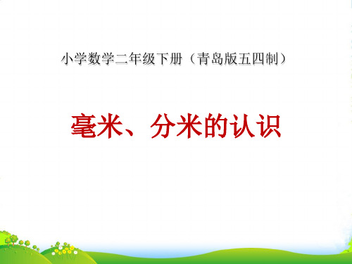 青岛版二年制下册数学课件2.1毫米 分米 千米的认识 (共13张)