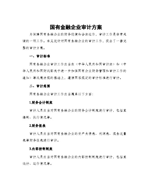 国有金融企业审计方案