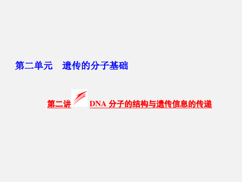 高考生物 一轮复习 第二讲 DNA分子的结构与遗传信息的传递 浙教版必修2