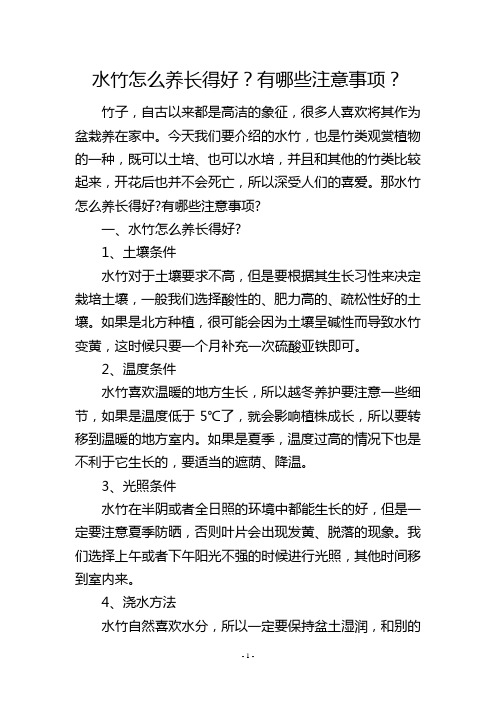 水竹怎么养长得好？有哪些注意事项？