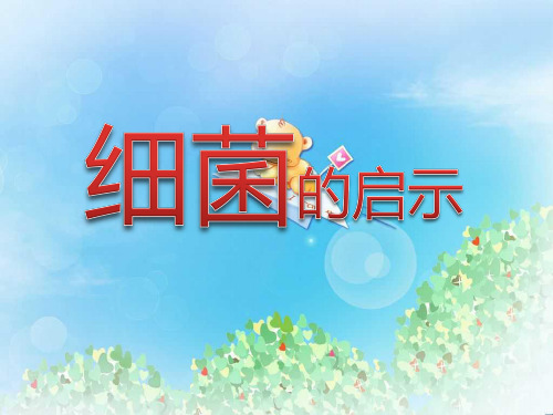 《细菌的启示》PPT2  图文