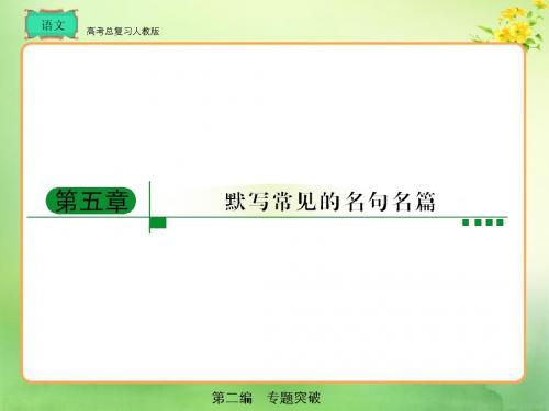 高考总复习 语文第2编5章