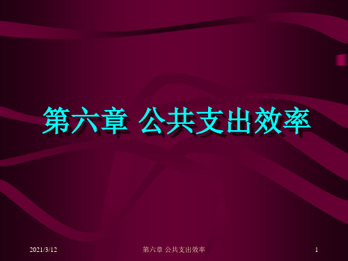 公共经济学公共支出效率PPT课件