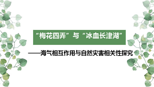 2023届高三地理一轮复习课件问题式教学探讨“梅花四弄”与“冰血长津湖”