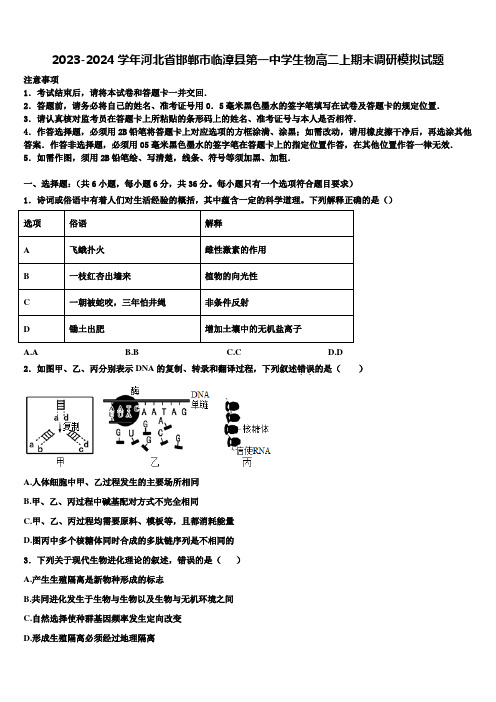 2023-2024学年河北省邯郸市临漳县第一中学生物高二上期末调研模拟试题含解析