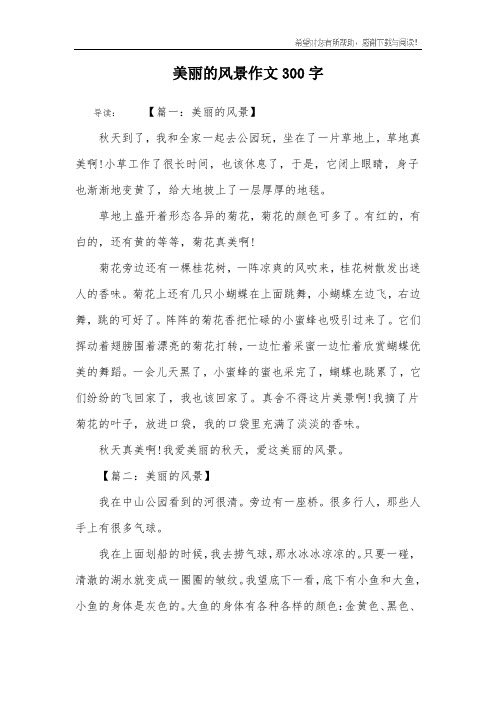 美丽的风景作文300字