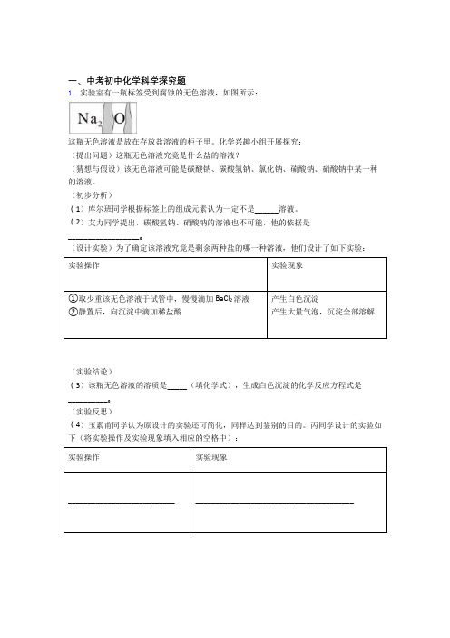 2020-2021中考化学备考之探究题压轴突破训练∶培优篇含答案(1)