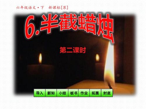 六年级语文下册课件-6半截蜡烛-第二课时(共23张PPT)  _苏教版