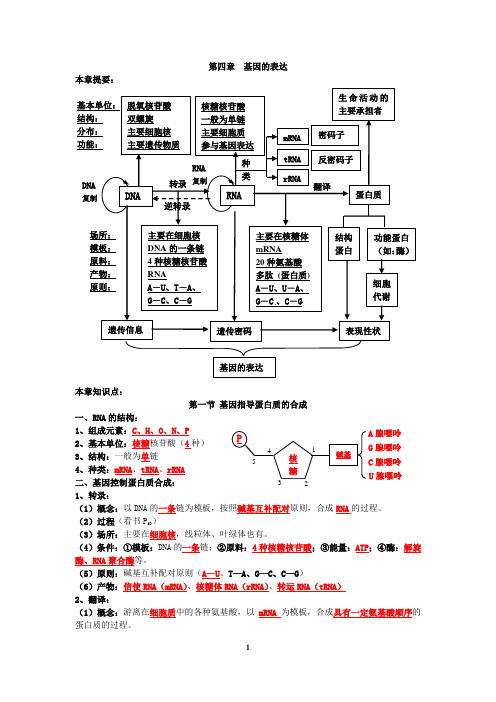 第四章基因的表达知识点