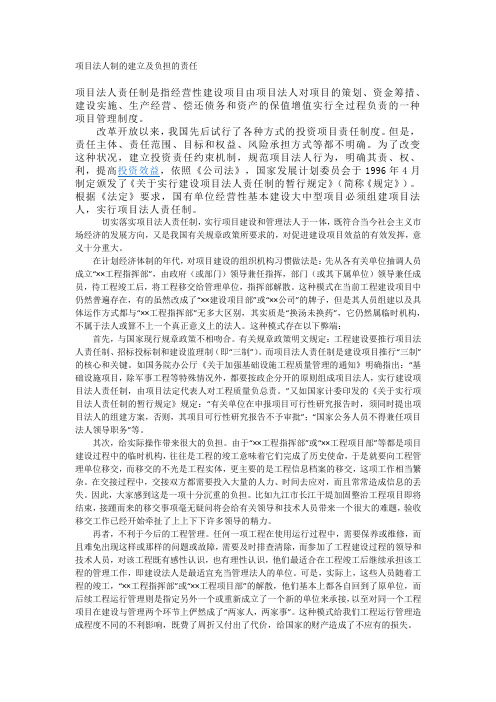 项目法人制的建立及负担的责任
