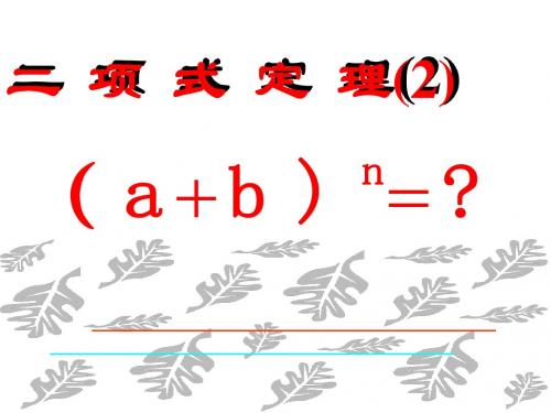 高二数学二项式定理2