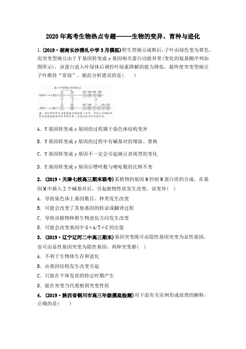 2020年高考生物热点专题 生物的变异、育种与进化(附答案解析)