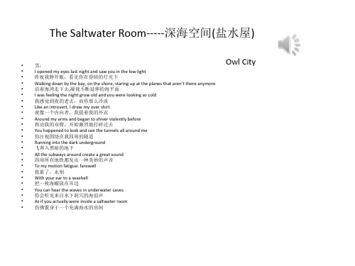 The Saltwater Room  盐水屋