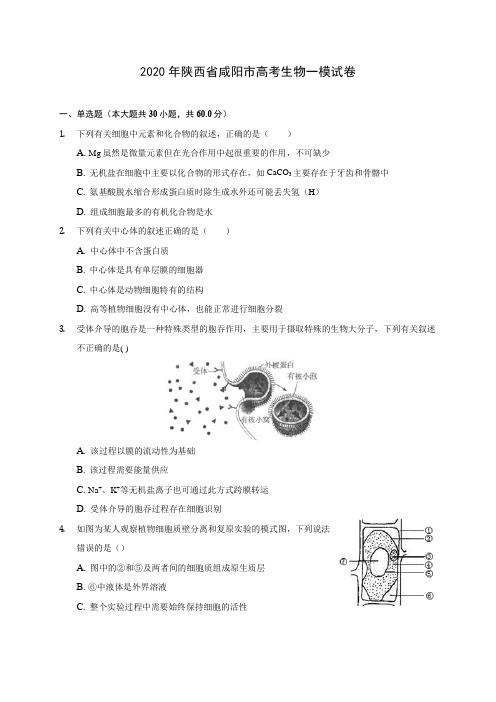 2020年陕西省咸阳市高考生物一模试卷(含答案解析)