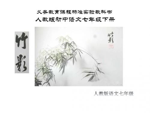 人教版语文七年级：竹影(共24张ppt)