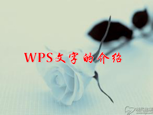 wps文字的介绍