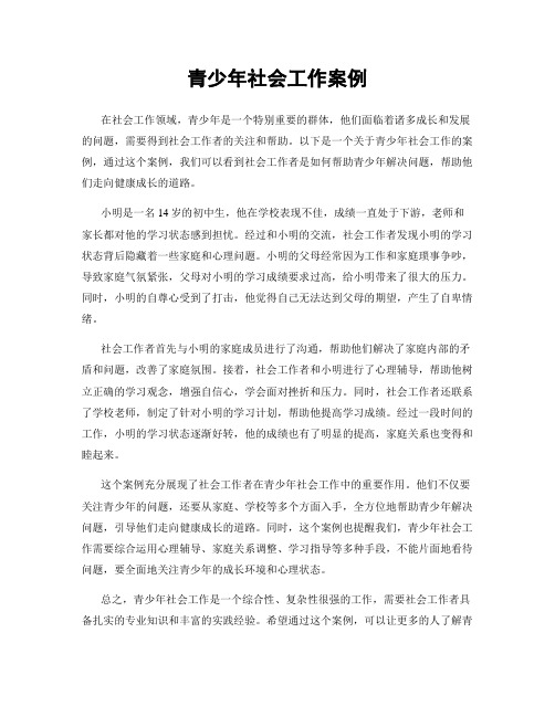 青少年社会工作案例