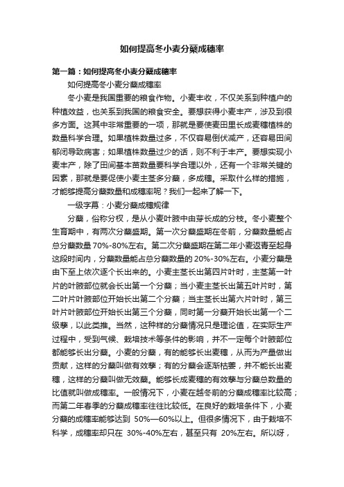 如何提高冬小麦分蘖成穗率