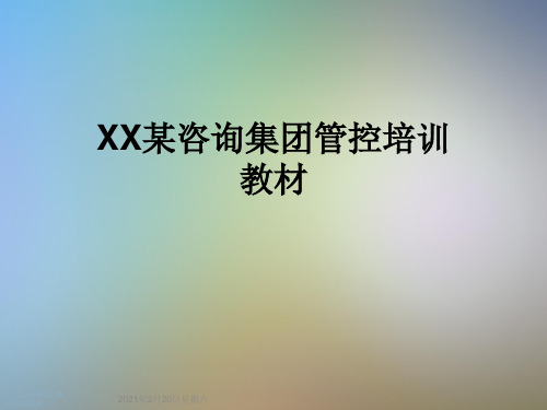 XX某咨询集团管控培训教材