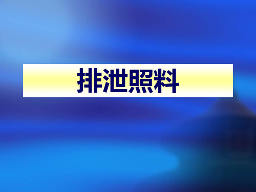 第四章 排泄照料 PPT课件