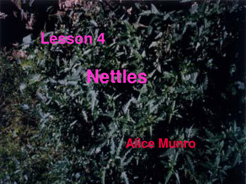 Lesson 4 Nettles