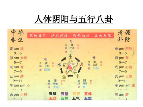 人体阴阳与五行八卦ppt课件