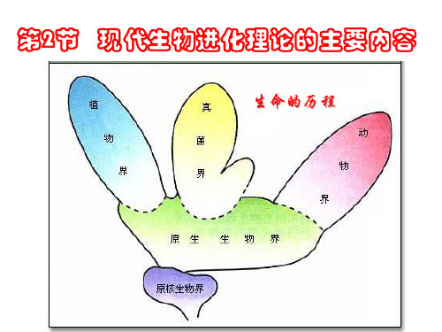 7.2  现代生物进化理论的主要内容