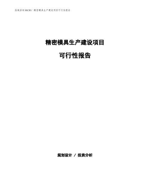 精密模具生产建设项目可行性报告(总投资6911.35万元)