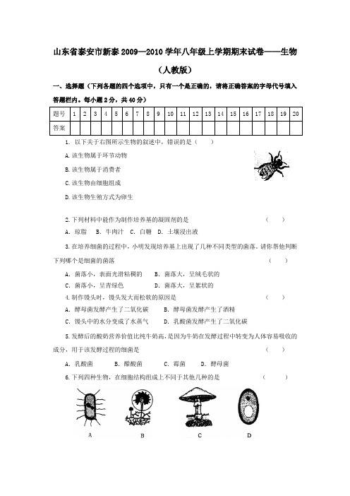 泰安新泰八年级上期末试卷