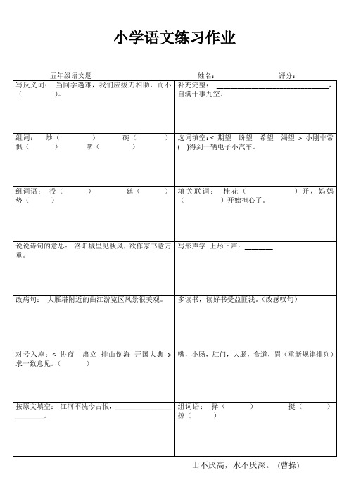 小学五年级语文提高训练II (52)