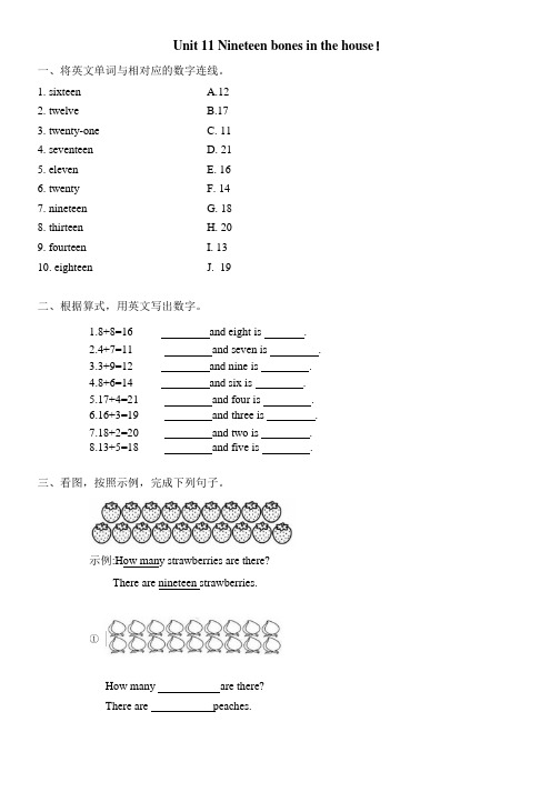 新概念英语青少版入门B Unit11 Nineteen bones in the house同步练习