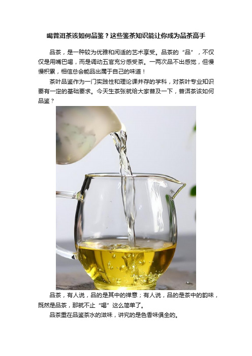 喝普洱茶该如何品鉴？这些鉴茶知识能让你成为品茶高手