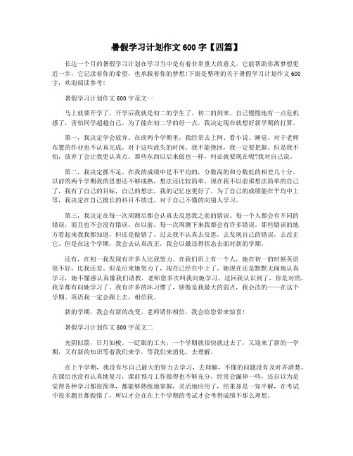 暑假学习计划作文600字【四篇】