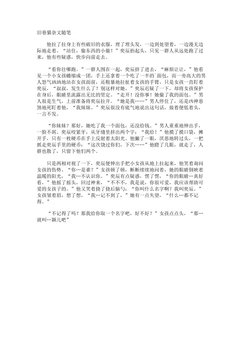 旧巷猫杂文随笔
