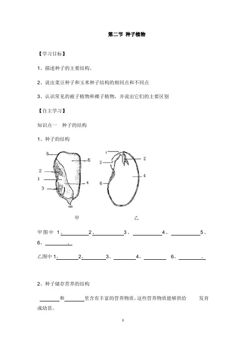 2018年七年级生物上册3.1.2种子植物学案新版新人教版【word版】.doc