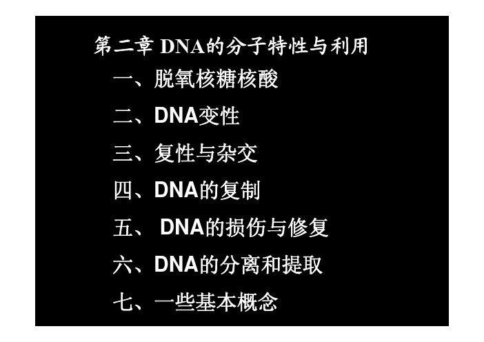 DNA的分子特性与利用