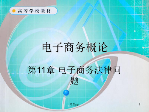 第11章 电子商务法律问题ppt课件