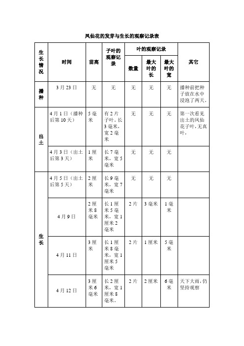 凤仙花的发芽与生长的观察记录表