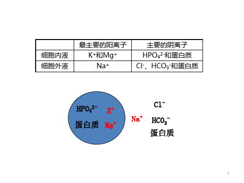 水、电解质、酸碱失衡病人的护理