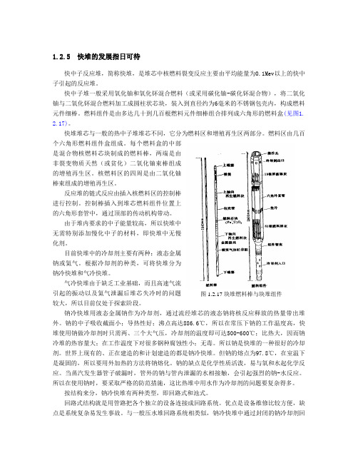 D快堆核电站