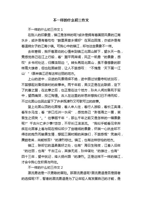 不一样的什么初三作文