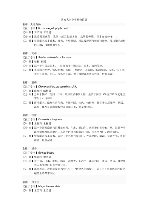 校园植物信息