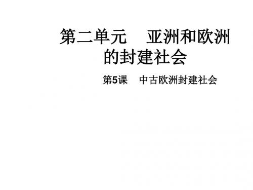 九年级历史上册第二单元亚洲和欧洲的封建社会5中古欧洲社会同步教学课件新人教版