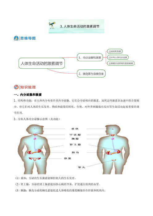 3人体生命活动的激素调节