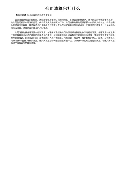 公司清算包括什么