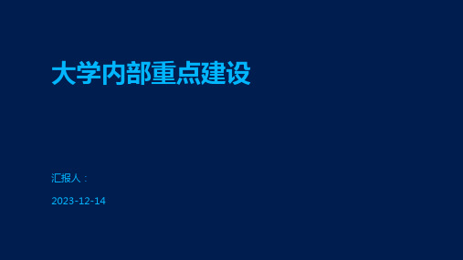 大学内部重点建设