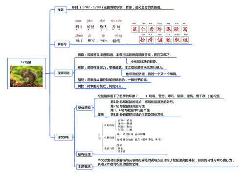 部编人教版小学语文五年级上册知识点17 松鼠