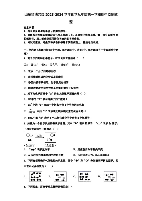 山东省博兴县2023-2024学年化学九年级第一学期期中监测试题含解析