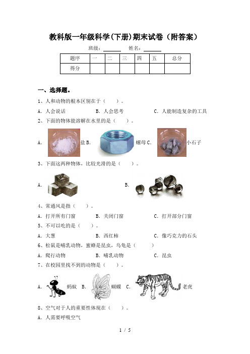 教科版一年级科学(下册)期末试卷(附答案)