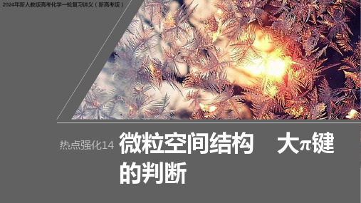 2024年新人教版高考化学一轮复习讲义(新高考版)  第6章 强化14 微粒空间结构 大π键的判断